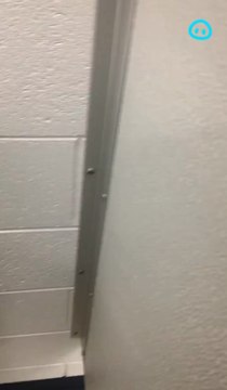 When dooty calls 🤭🚽 Licensed by ViralHog, filmed by @t6xinnovations #bathroom #weird #viral