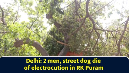 Delhi: 2 men, street dog die of electrocution in RK Puram