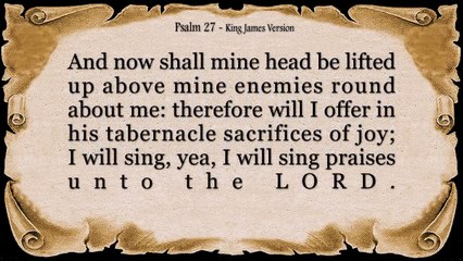 Psalm 27 Reading Finding Light in the Darkness (With words - KJV)