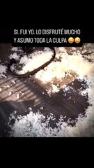 #shorts #reels #love #viral  #goldenretrievers #dog #doglover #mascotas #perros #short #funny #cute