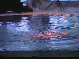 Championnat de France N1 2006 Othnin Girard J Stade Francais