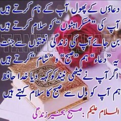 Naz khani ghar dua k phol