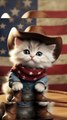 “This Cowboy Kitten Will Melt Your Heart 🤠🐱💞”