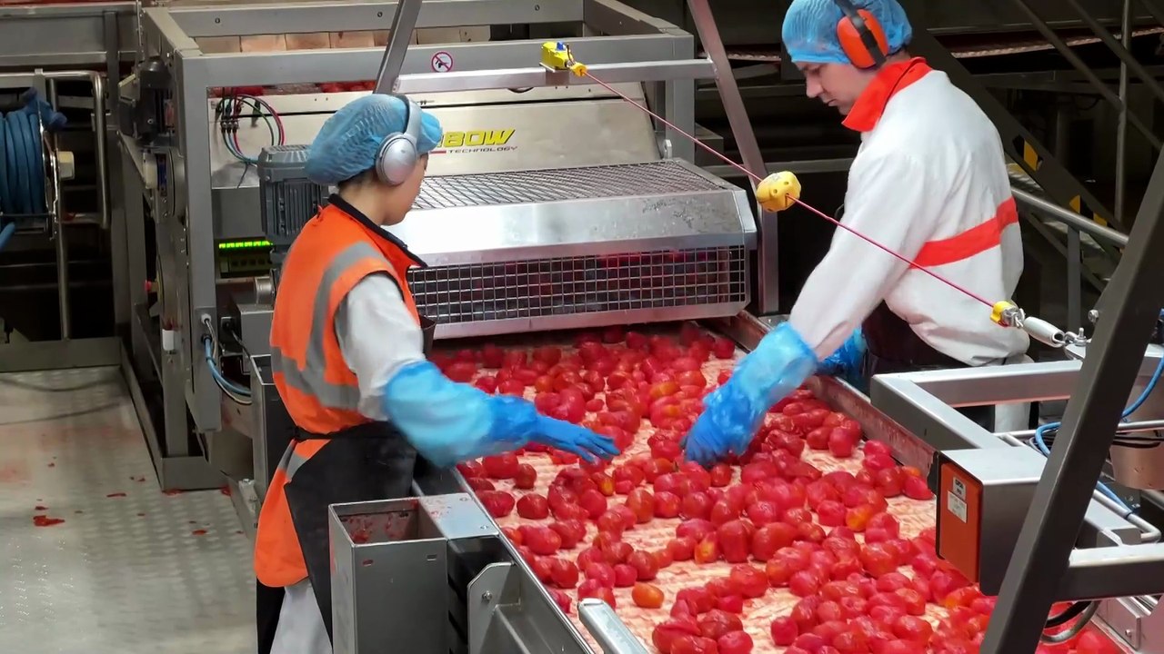 Tomato growers vine up to new revenue streams amid dwindling supermarket presence
