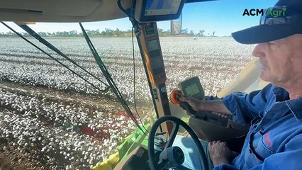 Timely rain results in one of Clermont's best dryland cotton crops in years