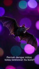 🦇 Mitos atau Fakta? Kelelawar Buta! 🔍✨