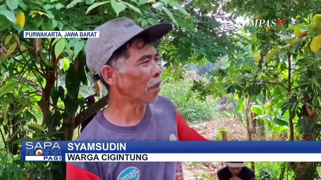 Tanah Bergerak di Purwakarta: Warga Mengungsi dan Pindahkan Makam yang Tergeser, Begini Kondisinya