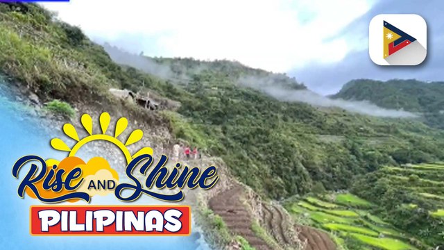 Pamamahagi ng social pension sa senior citizens, puspusan; Walang Gutom Kitchen ng DSWD, tuloy-tuloy sa pamamahagi ng libreng pagkain