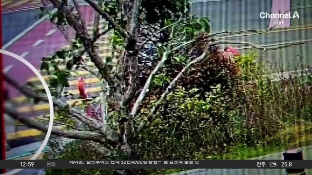 7살 초등생 치고 떠난 학원 버스…뺑소니 입건