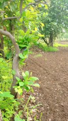 frame the farming #farm