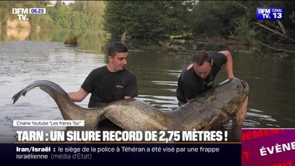 "C'est un truc de dingue": deux pêcheurs tarnais ont attrapé un silure de 2m75 d'environ 150kg, le plus long jamais pêché en France