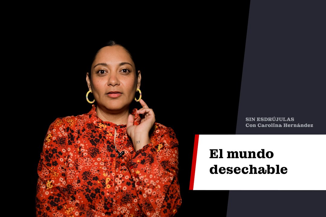 El mundo desechable