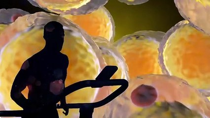 The BEST Way to Use Cardio to Lose Fat (Based on Science)