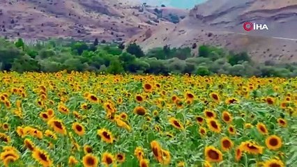 İşte doğaseverlerin yeni gözdesi! Erzincan’ın saklı cenneti