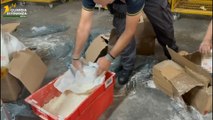 Napoli, 100 chili di ketamina nascosti tra pasta e farina destinati a Los Angeles (16.06.25)