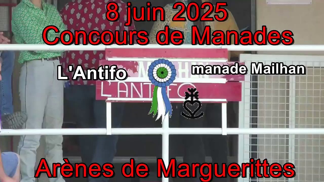 2025 06 08 L'Antifo