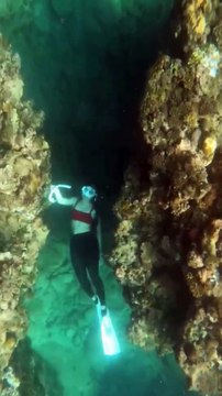 Dreamy Ocean Float Ends in Gentle Head‑Butt With Coral Reef!