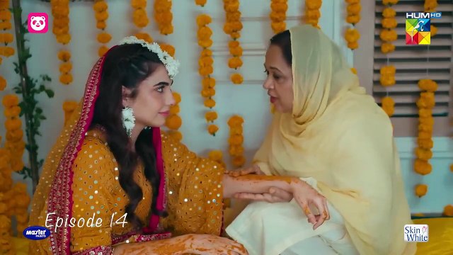 Meem Se Mohabbat Episode 14 | Dananeer Mobeen, Ahad Raza Mir, Faiza Gillani, Zarrar Khan
