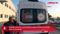Havuza düşen 1 yaşındaki Asaf, kurtarılmıştı! Acı haber geldi