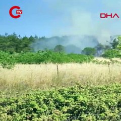 Çanakkale'deki orman yangınlarıyla ilgili 6 şüpheliye gözaltı