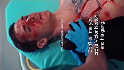 A Sweet Contract with the Mafia Boss stardusttv