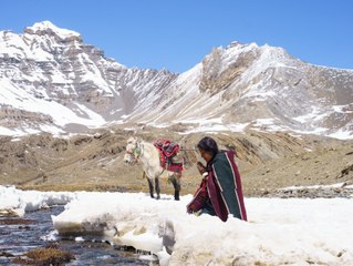 Shambhala: HD Trailer with VO in French & Dutch – Discover a Tibetan Village’s Unique Traditions 🌄 - thumbnail