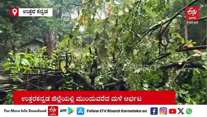 ಉತ್ತರ ಕನ್ನಡದಲ್ಲಿ ವರುಣಾರ್ಭಟ: ಜೋಯಿಡಾದಲ್ಲಿ ಮನೆ ಮೇಲೆ ಬಿದ್ದ ಮರಗಳು, ವಿವಿಧೆಡೆ ಅವಾಂತರ