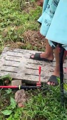 Big Fish Challenge at the Fishing Pond