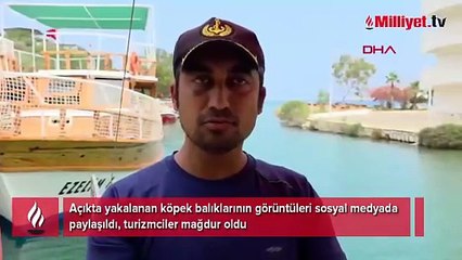 Sosyal medyada yayılan görüntü tatilcileri korkuttu: Turlar durma noktasına geldi