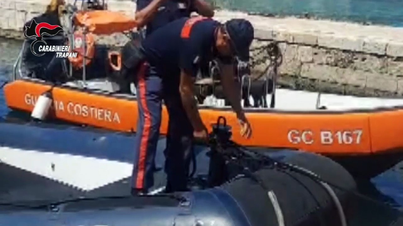 Favignana, i carabinieri salvano quattro tartarughe Caretta Caretta