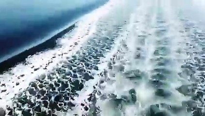 Campbell River Boat Tours