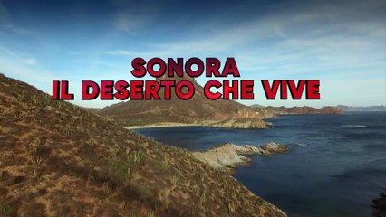 Oltre ogni limite