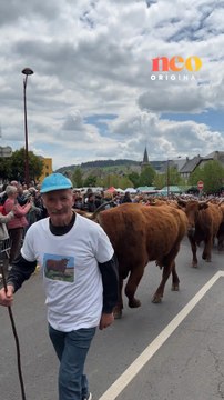 Dans le village d’Allanche, des éleveurs perpétuent la tradition de l’estive : chaque été, les troupeaux montent en altitude pour profiter des pâturages d’altitude. Un savoir-faire ancestral qui rythme la vie du village ! 🌿✨