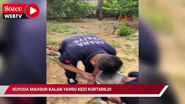 Kuyuda mahsur kalan yavru kedi kurtarıldı