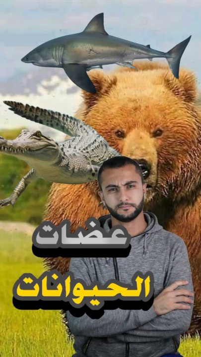 أقوى 3 عضات في مملكة الحيوانات.. سحق في ثواني! 🦈💀https://psce.pw/7qum4g#النواة #الدب_الرمادي #التمساح_البحري #القرش_الأبيض_الكبير#Alnawa #dubai🇦🇪 #dubailife #Ursus_arctos_horribilis #Crocodylus_porosus #Carcharodon_carcharias #trending #travel