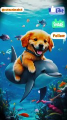 A fish and dog friendship 🐕🐠🐟🐬🐋🐳cute bonding 🐕🐠