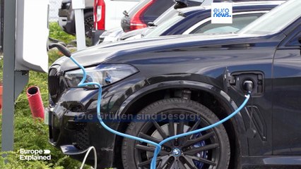 Europas grüne Parteien suchen nach neuem Schwung