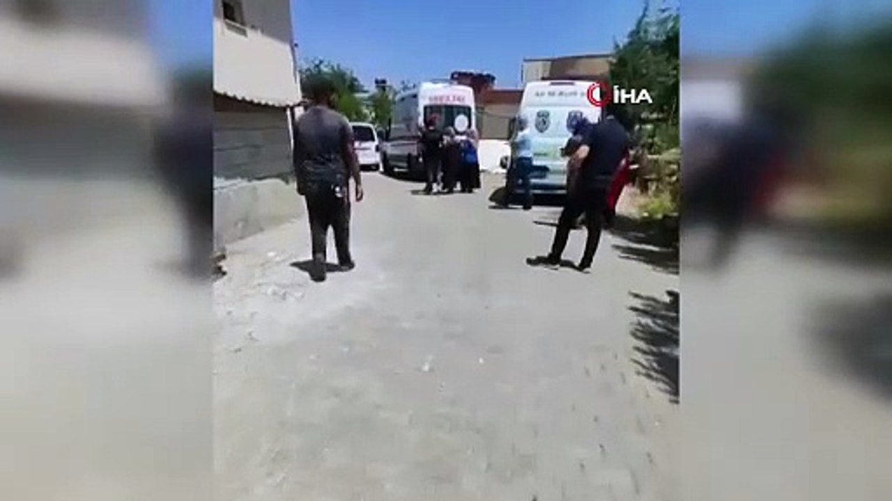 Birlikte can verdiler