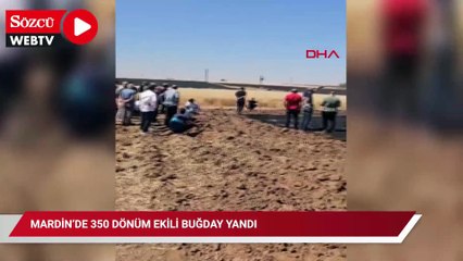 Mardin’de 350 dönüm ekili buğday yandı