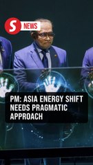 Pragmatic approach needed for Asia energy transition, says Anwar