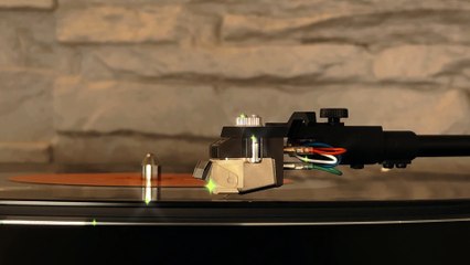 Geceler uzun, yıldızlar yoldaş