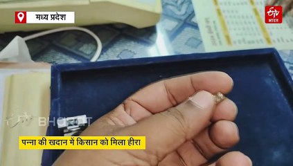 पन्ना में फिर चमकी किसान की किस्मत, 3.01 कैरेट का मिला डायमंड