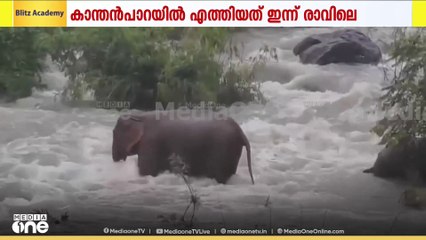 വയനാട് മേപ്പാടി കാന്തൻപാറയിൽ ഭീതി പരത്തിയ കാട്ടാനക്കൂട്ടത്തെ കാടുകയറ്റി
