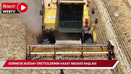 Edirne'de hasat mesaisi: Buğdayda verim artışı bekleniyor