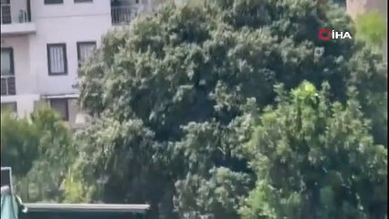 Bodrum Türkbükü yangını ile ilgili bir gözaltı