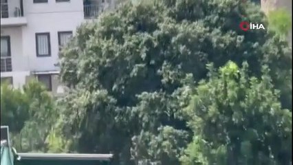 Tatil cennetinde yangın kabusu! 1 kişi gözaltına alındı