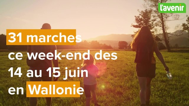 Marches Adeps et FFBMP en Wallonie : 23 randonnées ce week-end du 21-22 juin 2025