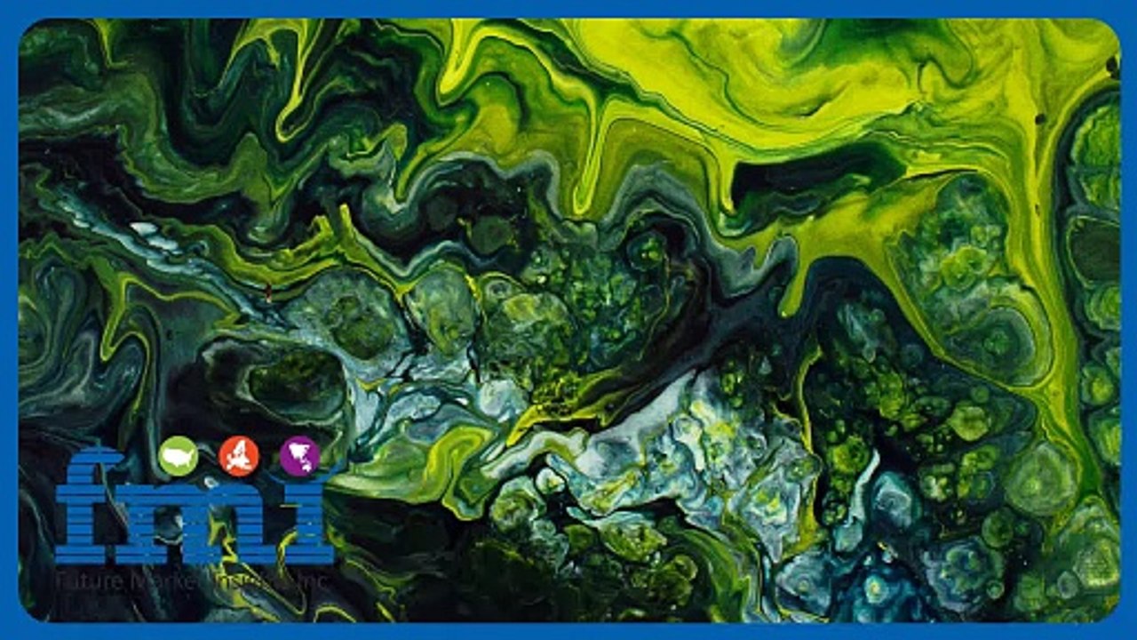 Algae Oil Market Earnings Margins, Value Of Production & Consumption Demand Figures 2024 to 2034