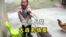 盘点人鹅大战名场面#名场面系列 #搞笑视频动物 #爆笑视频 #笑到肚子疼 #每日一笑