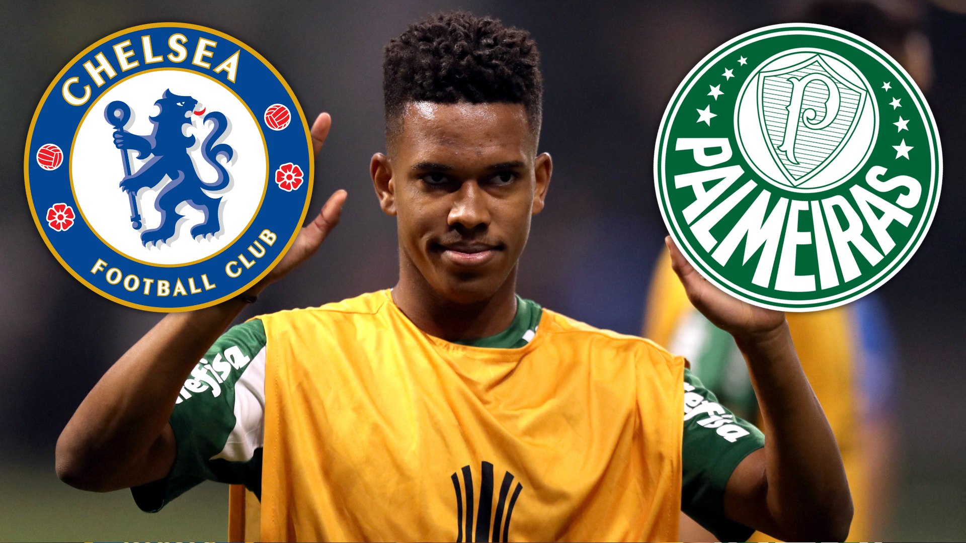 Why Was the Palmeiras vs Al Ahly Match Suspended at the 2025 Club World ...